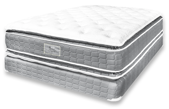 revised-6-elegance pillow